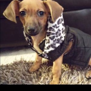 Meet your Posher, Lynsey